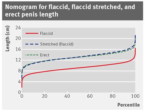 Category : Flaccid and erect human penises in comparison